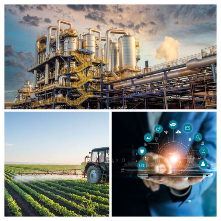 From Gold to Grain: Who’s Powering Ghana’s Economy?